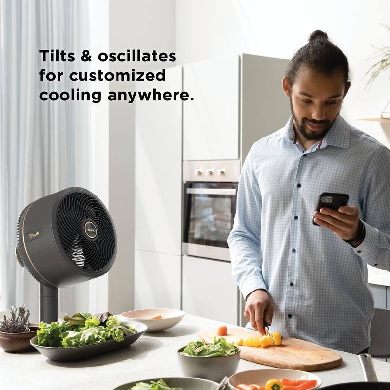 Cordless Indoor Outdoor Cooling Fan