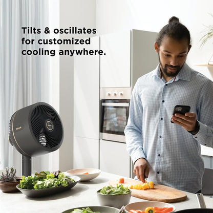 Cordless Indoor Outdoor Cooling Fan